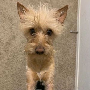 Meet your Posher, Noel